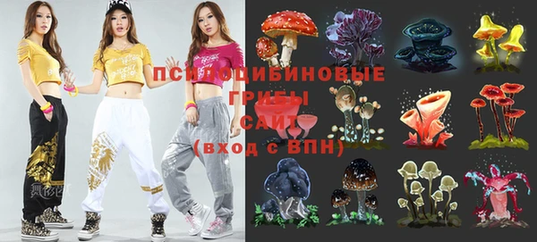 марки nbome Каменногорск