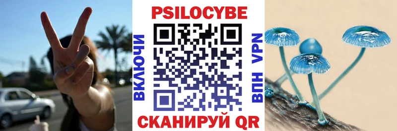 Псилоцибиновые грибы мицелий  Камышин 
